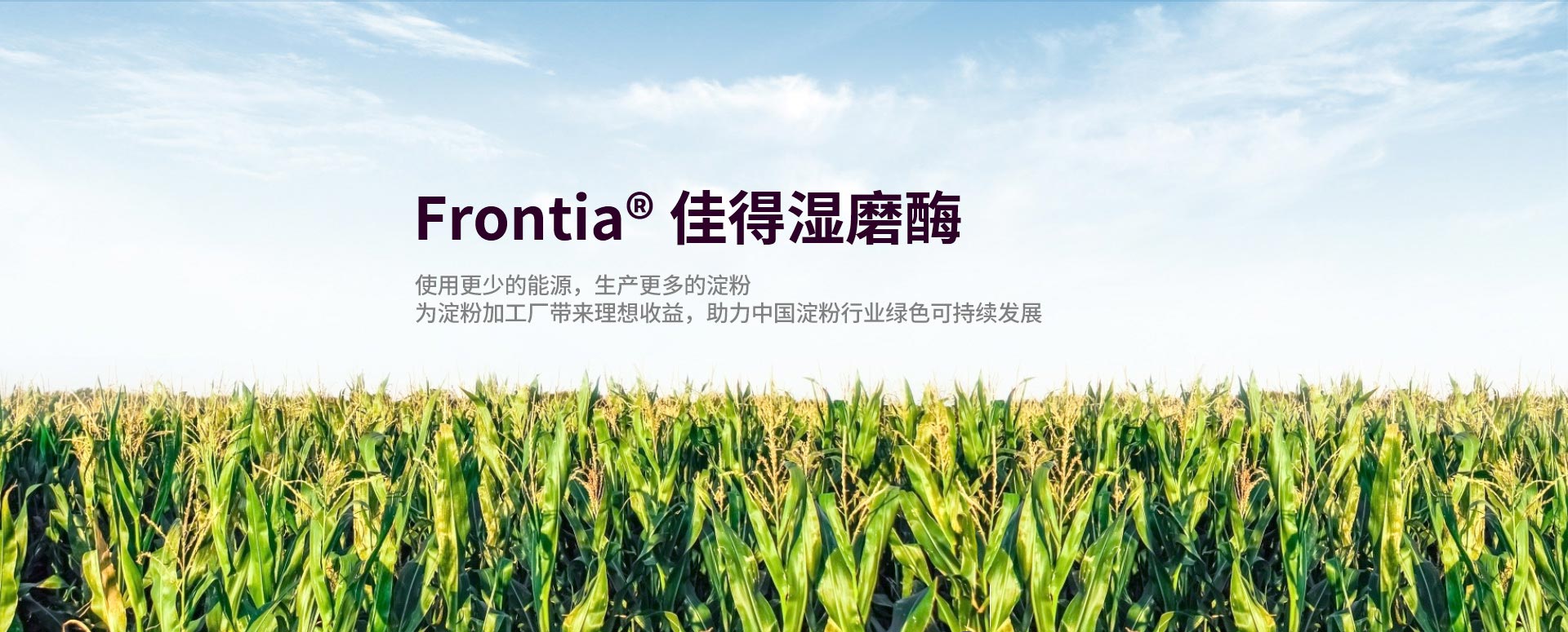 Frontia ®佳得湿磨酶